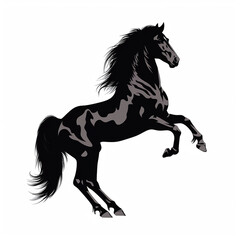Fototapeta na wymiar horse standing up on hind legs illustration isolated on white