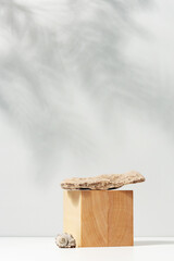 Natural background with wooden block, stone and seashell. Podium for cosmetics presentation
