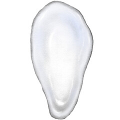 Mussels shell white
