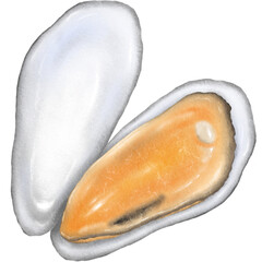 Mussels 4