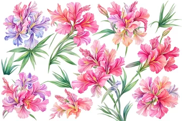 Fototapeten Watercolor drawing with Gladiolus and leaves. Mother's Day card. Floral design with Gladiolus flowers. Templates for design, botanical illustration in watercolor style. Generative AI © 360VP
