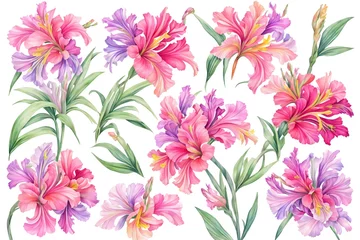 Plexiglas foto achterwand Watercolor drawing with Gladiolus and leaves. Mother's Day card. Floral design with Gladiolus flowers. Templates for design, botanical illustration in watercolor style. Generative AI © 360VP