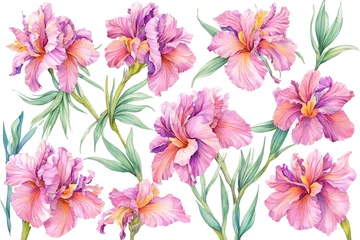 Tuinposter Watercolor drawing with irises and leaves. Mother's Day card. Floral pattern for wallpaper or fabric with iris flowers. Templates for design, botanical illustration in watercolor style. Generative AI © 360VP
