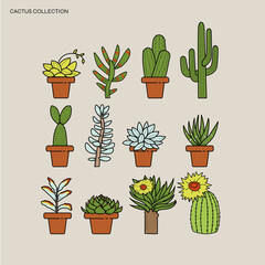 Set of a cactus plants with different shape and color.