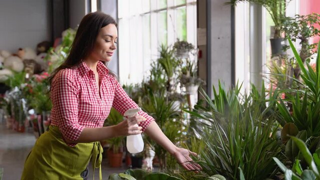 Young beautiful woman florist watering plant at flower shop