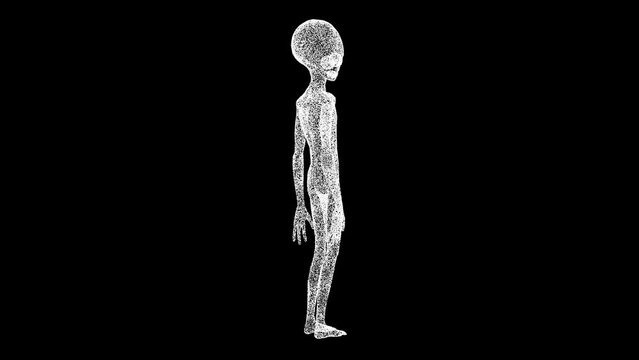 3D Green Man rotates on black bg. Alien Extra Terrestrial life-form. UFO concept. For title, text, presentation. Object made of shimmering particles. 3d animation 60 FPS