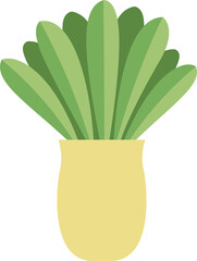House plant, flowers in a vase. PNG with transparent background
