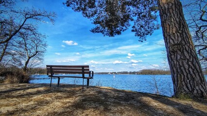 bench in the park