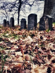 autumn cemetery