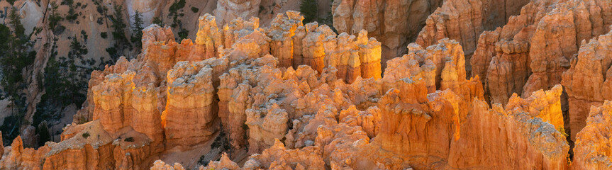 Fototapeta na wymiar Rock formations and hoodoo’s from Bryce Canyon Overlook in Bryce Canyon National Park in Utah during spring.