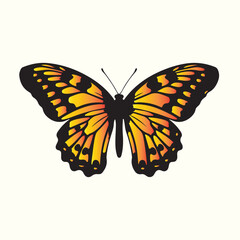 Obraz premium Monarch butterfly silhouette vector illustration background