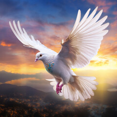 Fototapeta premium A flying dove of peace