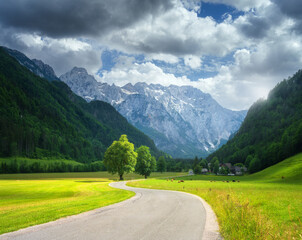 Fototapeta na wymiar Alone trees and road in alpine mountains, green meadows at sunset