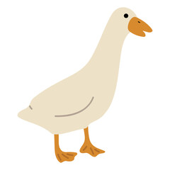 Duck White Single 44 PNG