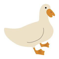 Duck White Single 36 PNG