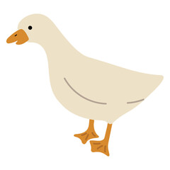 Duck White Single 25 PNG