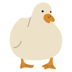 Duck White Single 28 PNG