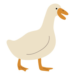 Duck White Single 5 PNG