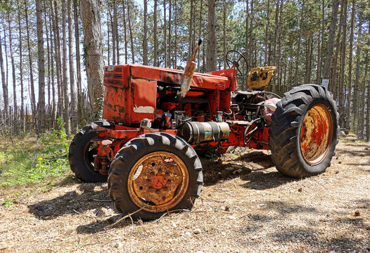 Very old tractor in forest. Red tractor!
