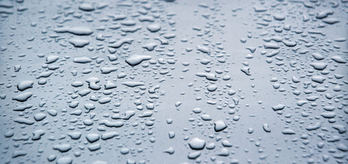 Raindrops on the hood of a car