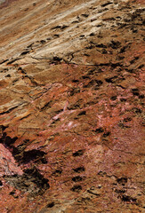 Mud Texture of Soil and natural patterns