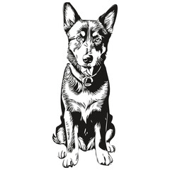 Beauceron dog cartoon face ink portrait, black and white sketch drawing, tshirt print