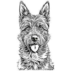 Border Terrier dog engraved vector portrait, face cartoon vintage drawing in black and white