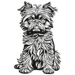 Brussels Griffon dog logo vector black and white, vintage cute dog head engraved