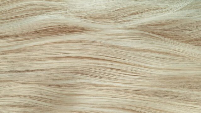 Super slow motion of wavy blonde hair in detail. Filmed on high speed cinema camera, 1000 fps.