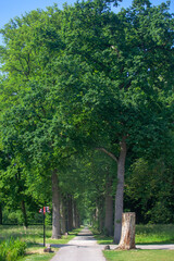 Obraz premium Netherlands, Holland, Amsterdam, Rokin, Zaanse, Schans, Monnickendam, Muiden, Muiderslot, Rotterdam, Jiburg, Hoorn, kasteel De Haar, fort Uitermeer, Naarden, Zunderdorp, Begijnhof, Zeedijk, travel