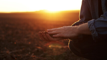 Male farmer's hand holds a handful of dry ground and checks soil fertility and quality before sowing crops on plowed field at sunset. Cultivated land. Concept of organic agriculture and agribusiness