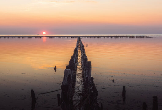 Wooden driving piles from old breakwater in the North Sea on the background of a beautiful sunset in Germany