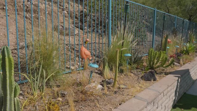 This video shows a metal pink flamingo lawn ornaments in a desert cactus garden.