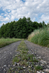 Polna kamienna droga idąca przez obszary wiejskie zachodniej Polski wśród pól i lasów w...