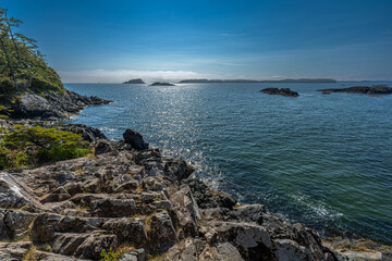 Coastal Shoreline on the West Side of Vancouver Island