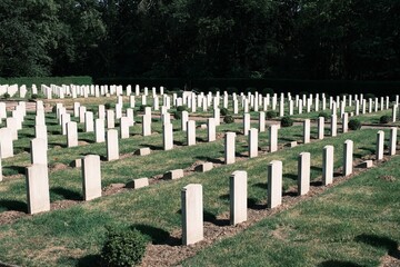 Fototapeta na wymiar Grabsteine auf einem Soldatenfriedhof in Deutschland