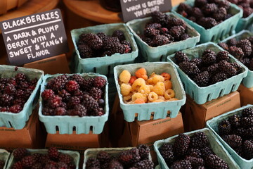 containers of blackberries 