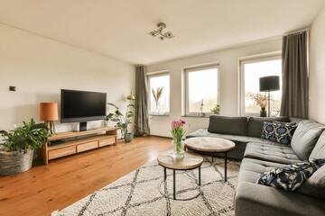 a living room with couches, coffee table, tv and plants in the corner of the room on the right side