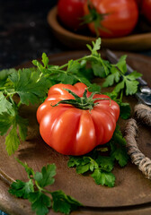 Fresh vegetables tomatoes and parsley leaves