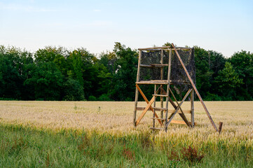 Fototapeta na wymiar A raised platform for hunting in a field of wheat is wrapped with camouflage netting. Set against a green line of trees in back and green grass with wild flowers in front. 