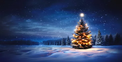 Foto op Plexiglas Christmas tree in the winter landscape, snow, night, decorated xmas tree © PetrovMedia