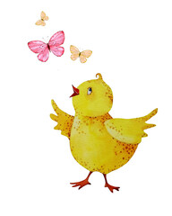 Chicken and butterflies. Watercolor illustration, postcard, children's poster.