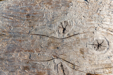 Old wood texture background  high resolution