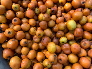 Top view of red-brown Bair Fruit of Asia. Pattern background of Jujube Fruit Bair Fruit or China...