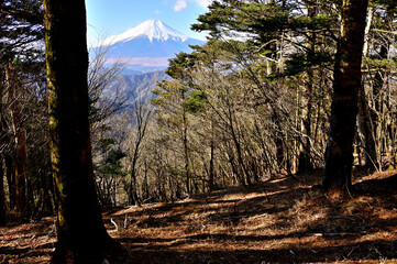 道志山塊の御正体山　峰宮跡展望台から望む富士山
