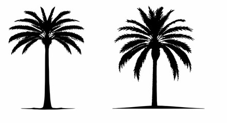 Date Palm Tree Silhouette black and white vector