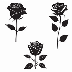 Rose Flower silhouette black and white vector