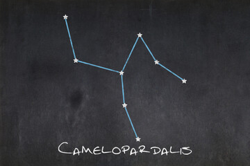 Fototapeta na wymiar Camelopardalis constellation drawn on a blackboard