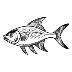 Obraz premium Mesmerizing Marine Art: Fish Black Tetra in Exquisite 2D Illustration