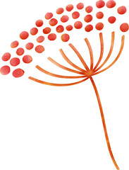 autumn leaves and flowers colorful foliage, vibrant beautiful leaf with hand drawn
